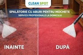 Tapiterie Curata si Igienizata in Oradea | Solutii Profesionale Siguranta Copii si Animale