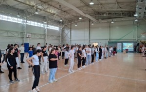 ”DAYS”, proiect co-finanțat de Comisia Europeană prin Programul Erasmus+ - promovarea sportului și activității fizice prin dans, ca stil de viață sănătos –